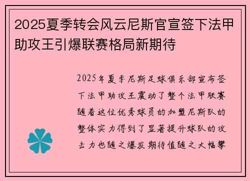 2025夏季转会风云尼斯官宣签下法甲助攻王引爆联赛格局新期待